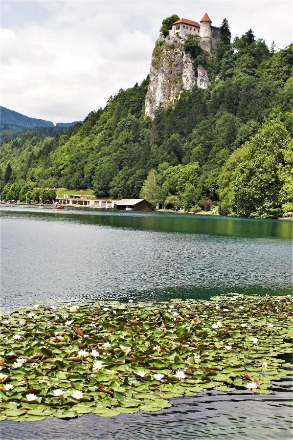 Penzion Zaka Bled Exterior photo